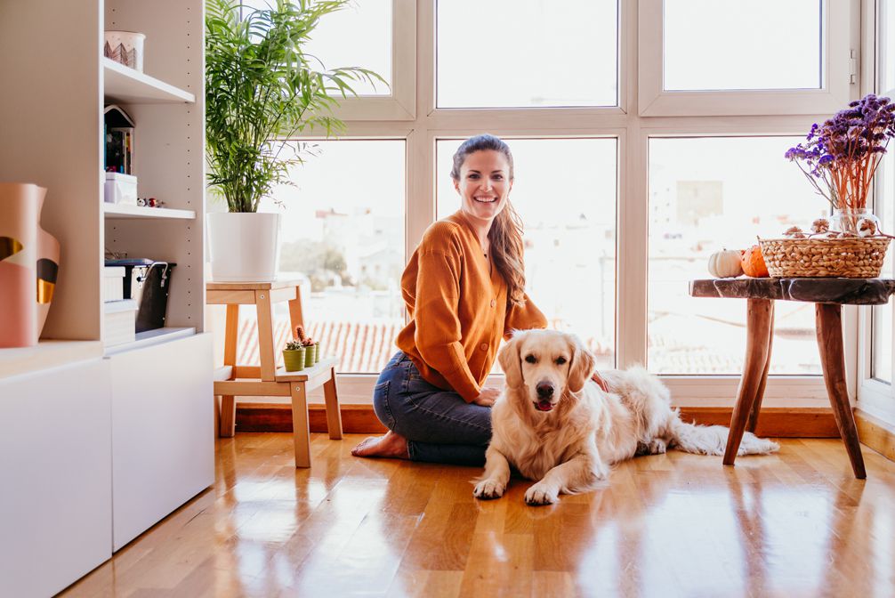 What are the 5 C's of credit?